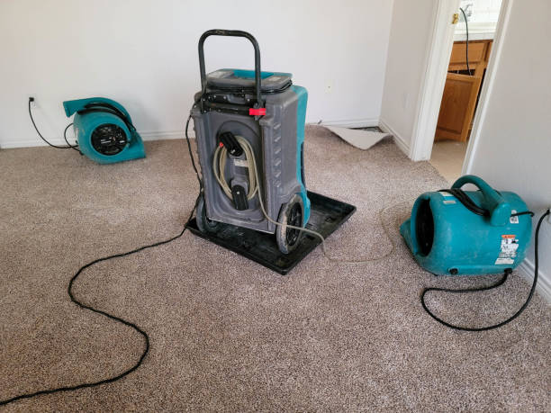 Best Carpet water damage restoration  in Montara, CA