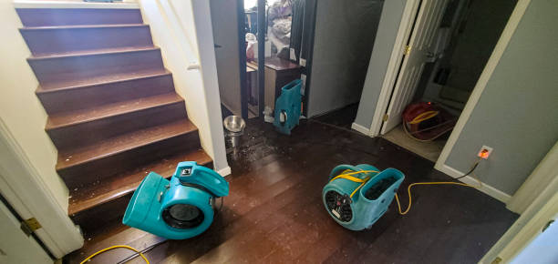 Best Flood restoration services  in Montara, CA