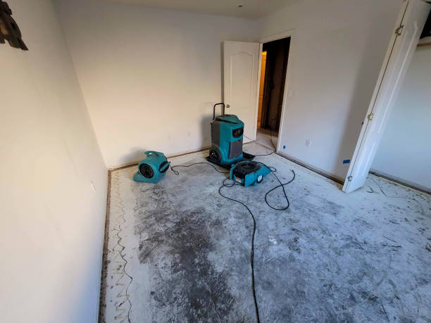 Best Local water damage restoration  in Montara, CA