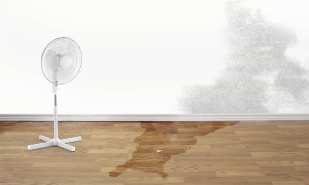 Best Water damage restoration specialists  in Montara, CA
