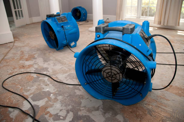 Best Basement water damage restoration  in Montara, CA