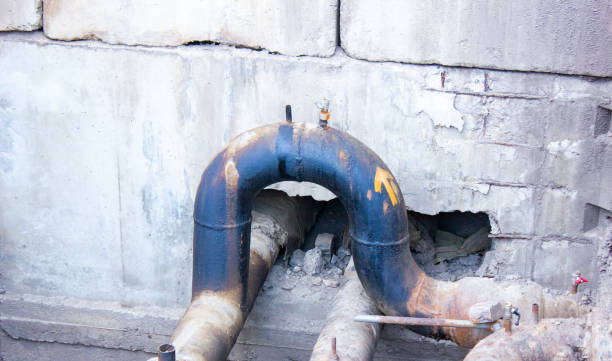 Best Mold removal after water damage  in Montara, CA