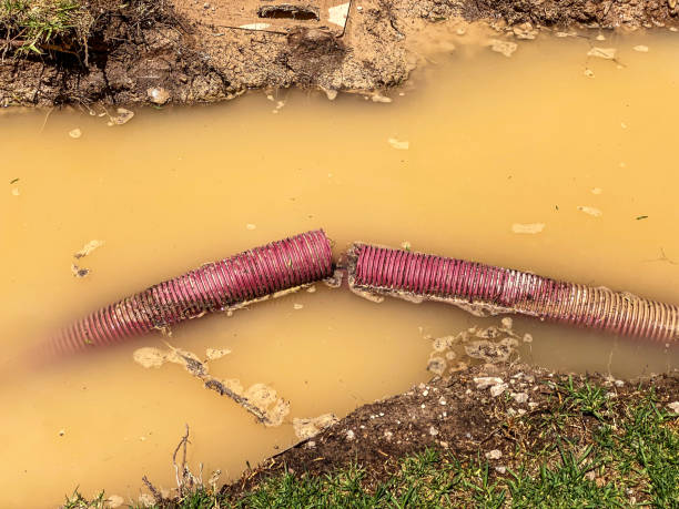 Best 24/7 water damage repair  in Montara, CA